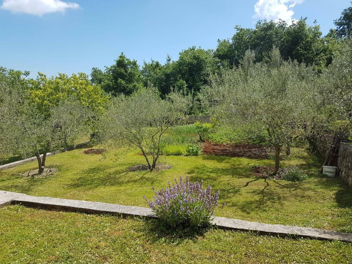 Apartmani Mariela Labin  Εξωτερικό φωτογραφία